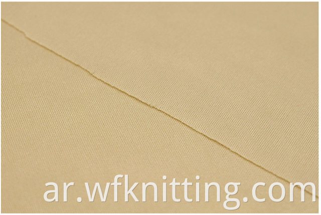 100% Polyester Interlock Knitted Fabric